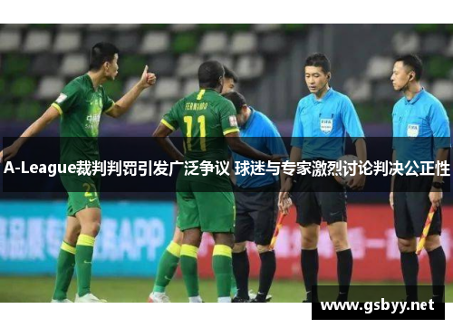 A-League裁判判罚引发广泛争议 球迷与专家激烈讨论判决公正性