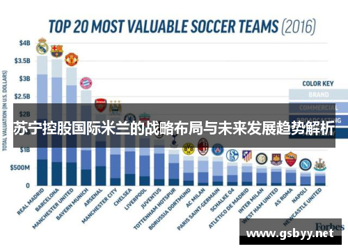 苏宁控股国际米兰的战略布局与未来发展趋势解析 苏宁控股国际米兰的战略布局与未来发展趋势解析