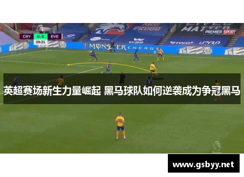 英超赛场新生力量崛起 黑马球队如何逆袭成为争冠黑马