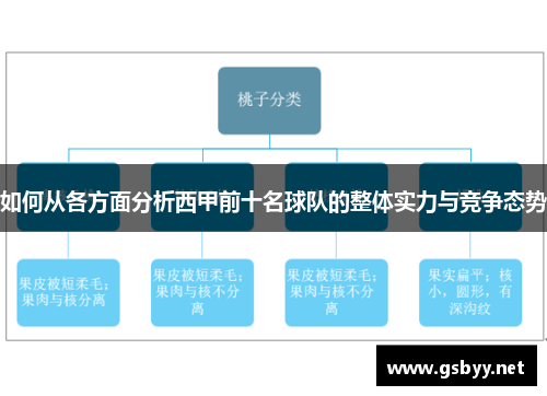 如何从各方面分析西甲前十名球队的整体实力与竞争态势