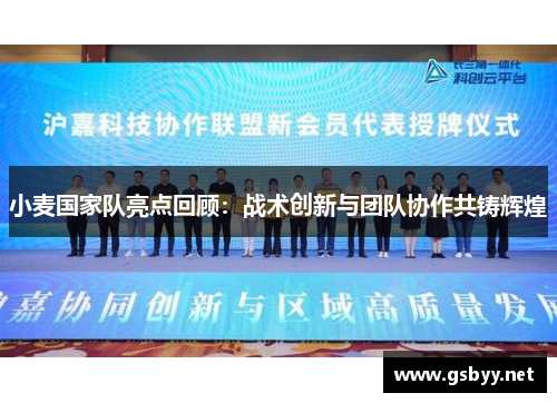 小麦国家队亮点回顾：战术创新与团队协作共铸辉煌